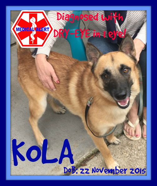 KOLA
