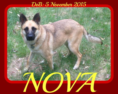 NOVA