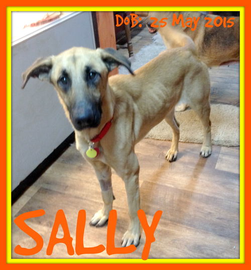 SALLY