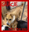 GRACIE