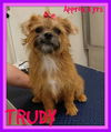 TRUDY