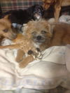 TRUDY