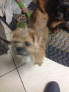 TRUDY