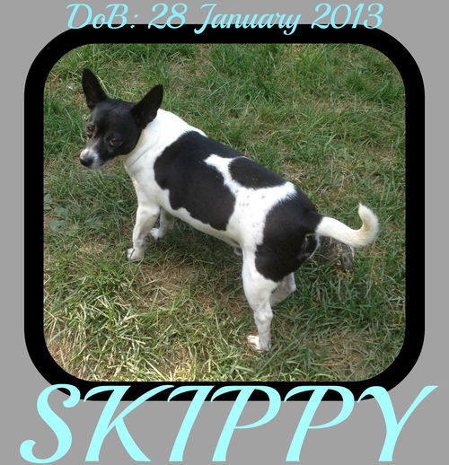 SKIPPY