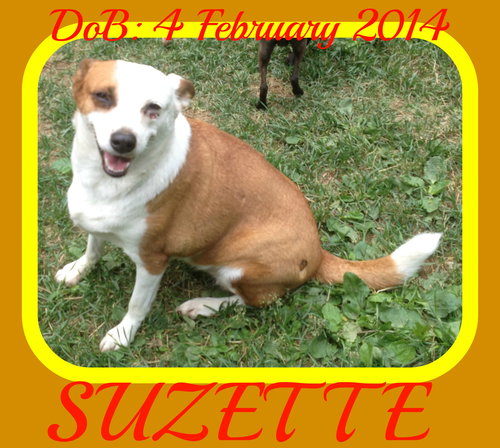 SUZETTE