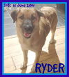 RYDER