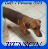 BENSON