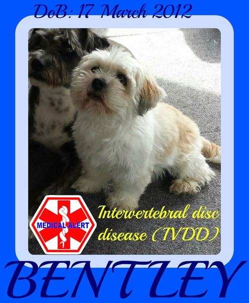 BENTLEY