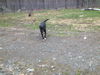 COOPER