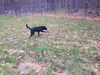 COOPER