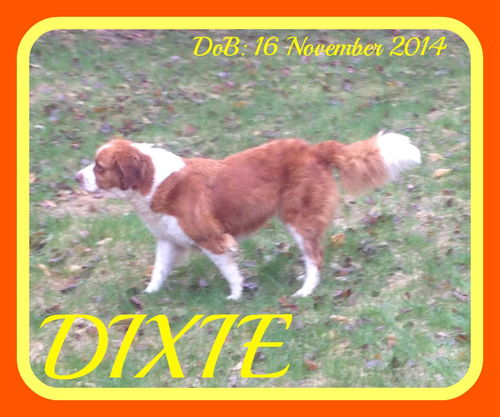 DIXIE