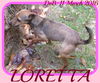 LORETTA