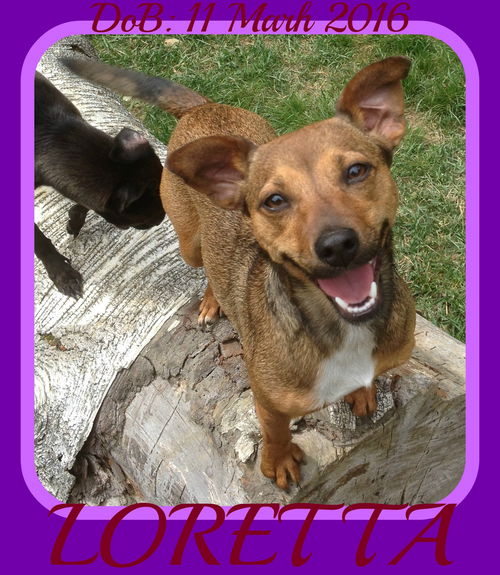 LORETTA