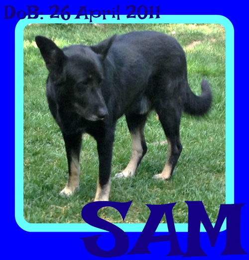 SAM