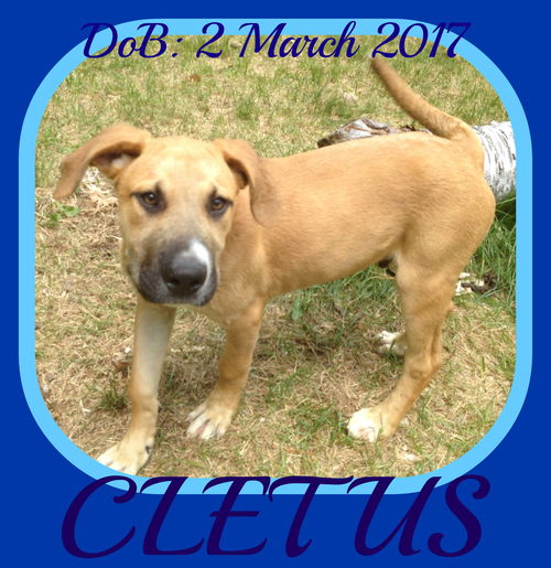 CLETUS