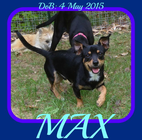 MAX