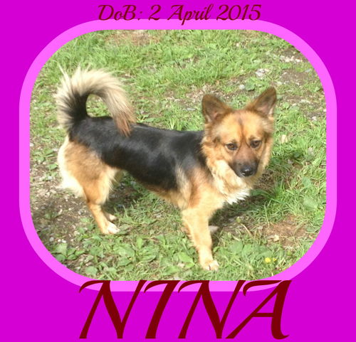 NINA