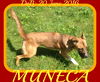 MUNECA