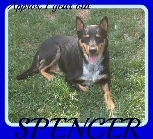 SPENCER