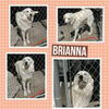 BRIANNA