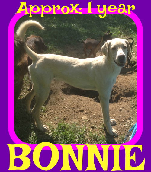 BONNIE