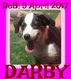 DARBY