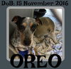 OREO