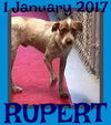 RUPERT