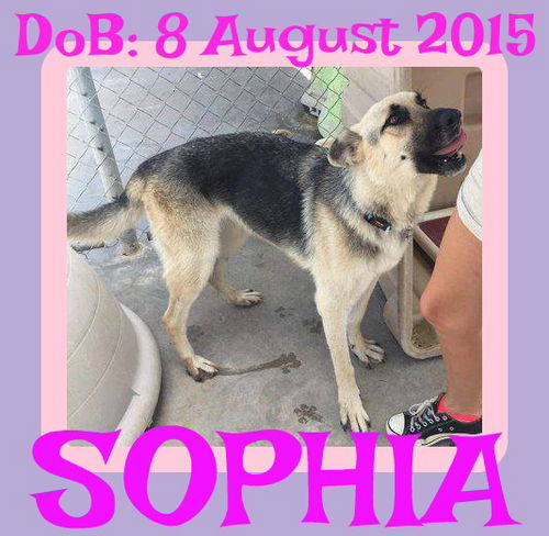 SOPHIA