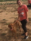 SUNSET-ROSIE
