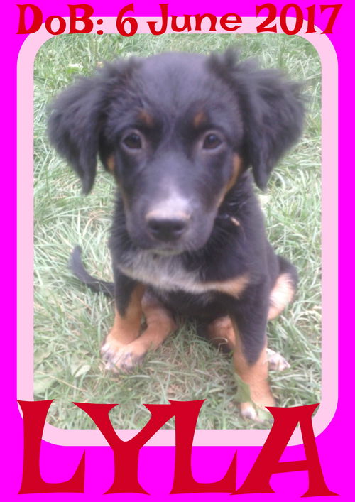 LYLA