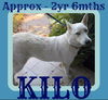 KILO