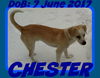 CHESTER