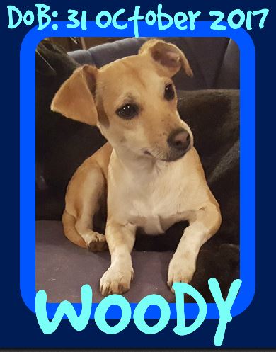WOODY