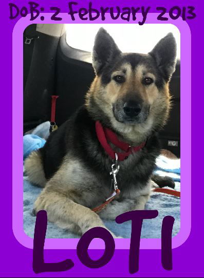 LOTI