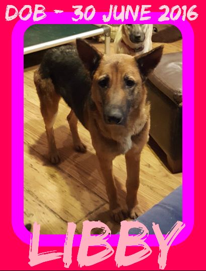 LIBBY