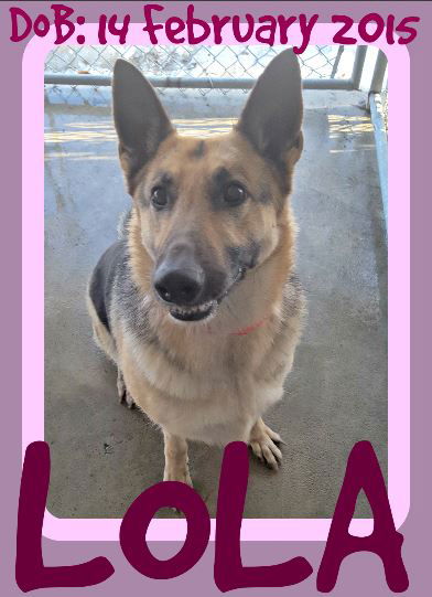 LOLA