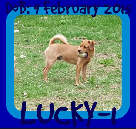 LUCKY-1