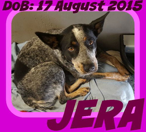 JERA