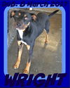 WRIGHT