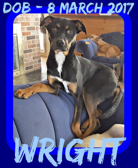 WRIGHT