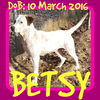 BETSY - $200