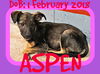 ASPEN - $200 reduced adoption