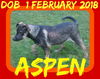 ASPEN - $200 reduced adoption