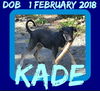 KADE - $300 reduced adoption