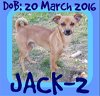 JACK - $300 reduced adoption