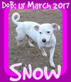 SNOW