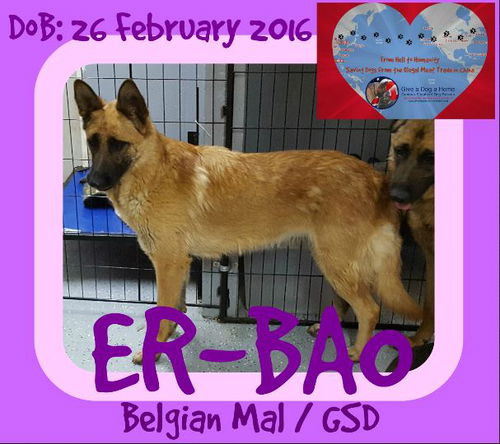 ER-BAO - China Meat Trade Save