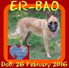 ER-BAO - China Meat Trade Save