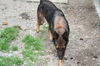 LOLA-2